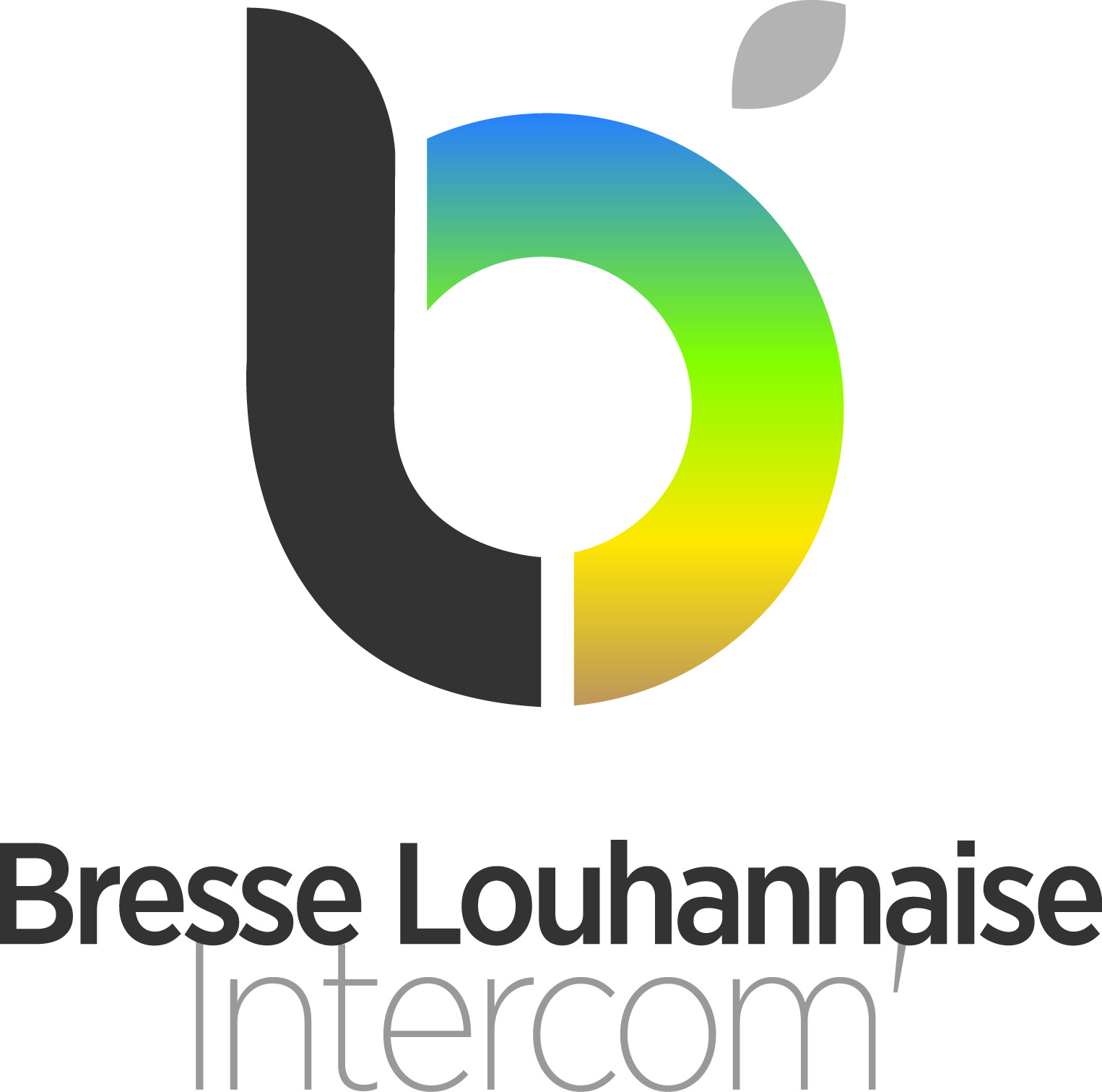 Logo OK BL Intercom